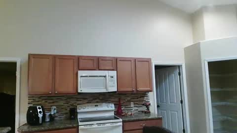 sam_papithebarber online show from 16, 9, 2025