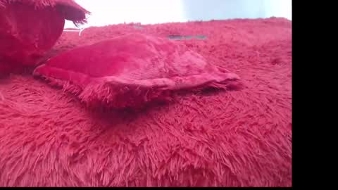 samael_leviatan online show from 8, 3, 2025