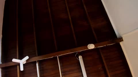 Snapshot of samanthamilan chatting on 24, 10, 2025 Alejandra online show from 24, 10, 2025