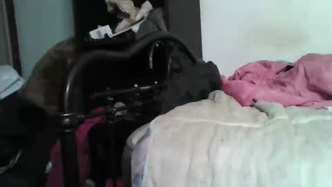 Snapshot of samedisamedi1nouveau chatting on 5, 12, 2025 Samedisamedi1nouveau online show from 5, 12, 2025