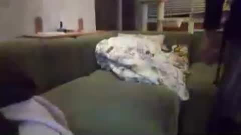 Snapshot of sammi_t chatting on 19, 7, 2026 sammi_t online show from 19, 7, 2026