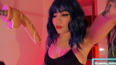 Sammy online show from 7, 4, 2026