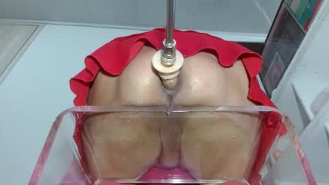 SAMMY online show from 5, 3, 2025