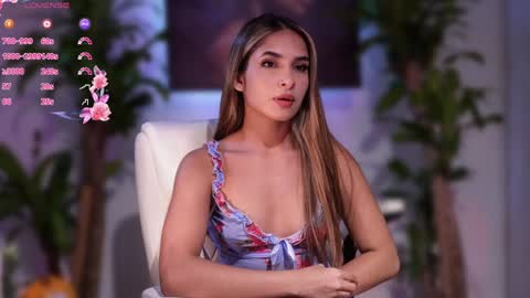 Sammy online show from 7, 12, 2024