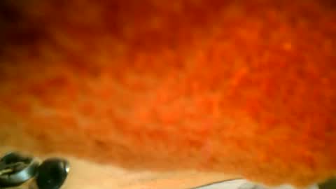 samueltal online show from 16, 10, 2025