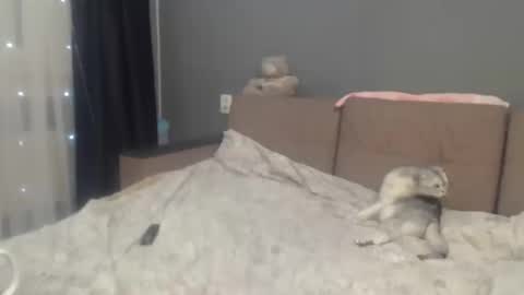 sandra_smith3007 online show from 6, 2, 2026