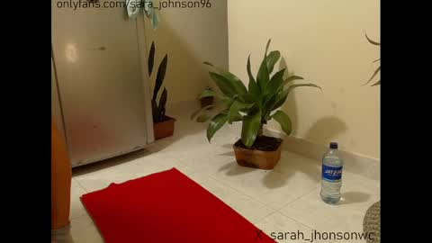 sara_johnson__ online show from 27, 12, 2024
