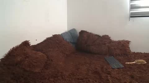 Snapshot of saraandthomas chatting on 10, 1, 2025 sara and thomas online show from 10, 1, 2025