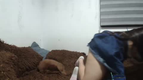 Snapshot of saraandthomas chatting on 12, 1, 2025 sara and thomas online show from 12, 1, 2025