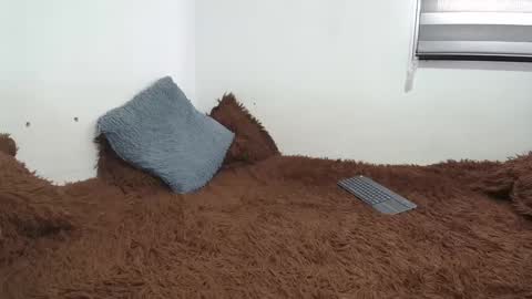 Snapshot of saraandthomas chatting on 26, 2, 2025 sara and thomas online show from 26, 2, 2025