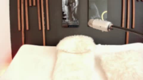     online show from 9, 12, 2024