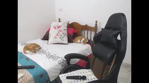 saray1221 online show from 8, 6, 2026