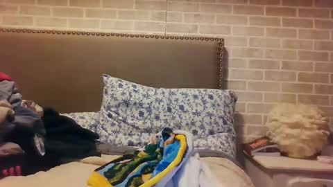 Sara online show from 15, 12, 2024