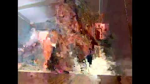 Sassyella online show from 9, 9, 2025