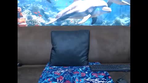 sasyylissaa online show from 3, 3, 2025