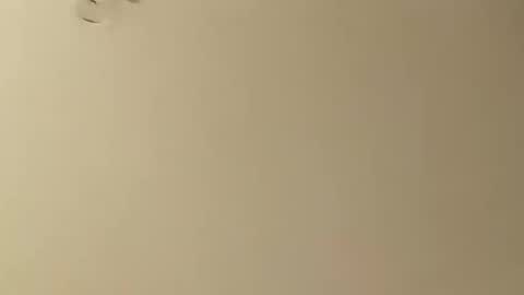 SnowBunny online show from 26, 1, 2025