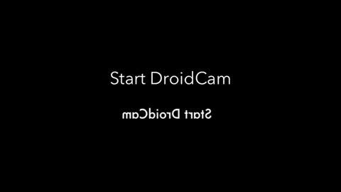 Bugglove online show from 1, 1, 2025