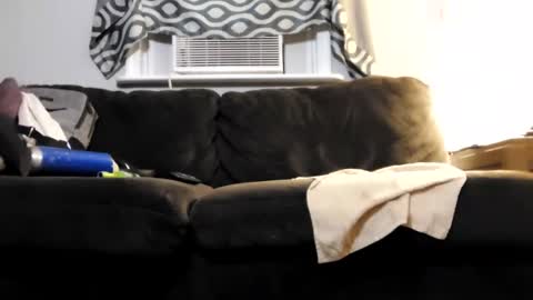 sayhi2mylilguy online show from 22, 2, 2025