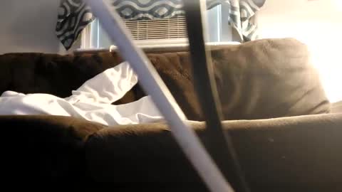 sayhi2mylilguy online show from 27, 2, 2025