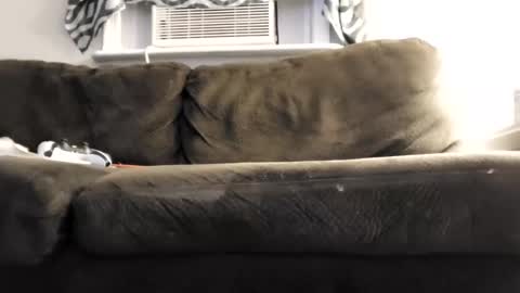 sayhi2mylilguy online show from 1, 3, 2025