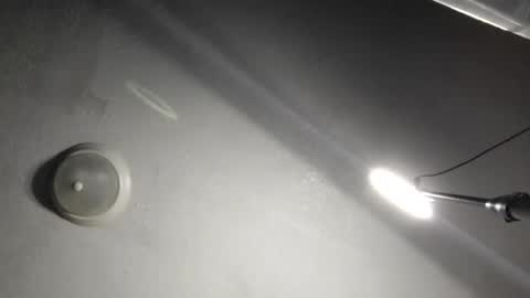 sayhi2mylilguy online show from 4, 3, 2025