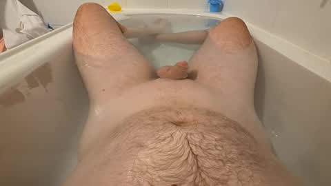 sc1981 online show from 21, 3, 2026