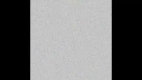 Venus online show from 15, 9, 2025