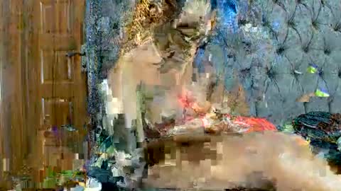 scarlet seductress online show from 2, 3, 2026