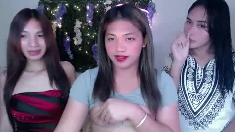    online show from 24, 1, 2025