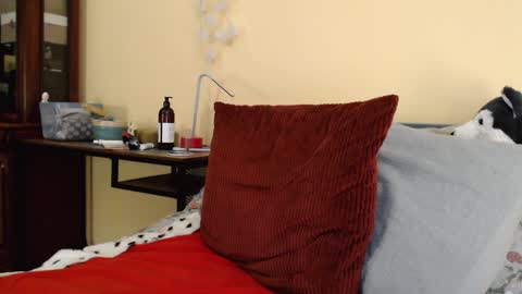 Scarlett online show from 8, 1, 2025