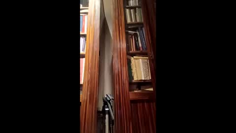 schlosser77 online show from 6, 3, 2026