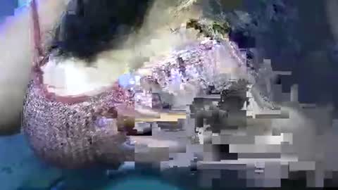 Snapshot of schoco_milf chatting on 25, 4, 2026 mai latina online show from 25, 4, 2026