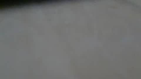Snapshot of schwaermer1 chatting on 18, 6, 2026 schwaermer1 online show from 18, 6, 2026