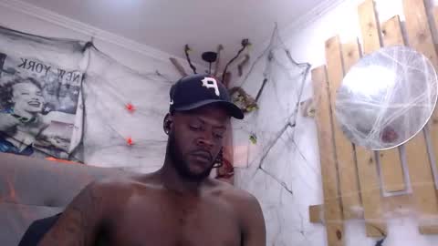 Damar online show from 29, 10, 2025