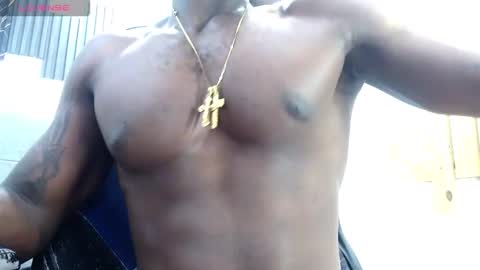 Damar online show from 28, 11, 2025