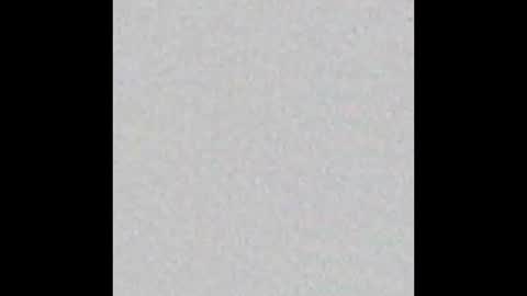 danny online show from 4, 1, 2025