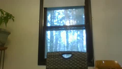 scottpbi52 online show from 5, 3, 2025