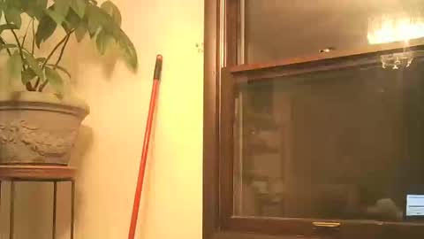 scottpbi52 online show from 28, 9, 2025