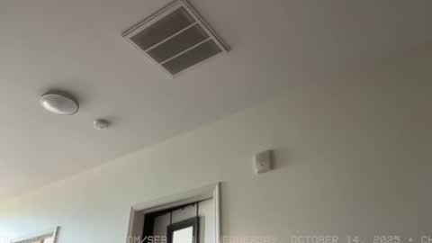 Snapshot of seb_tv chatting on 15, 10, 2025 Sebastian online show from 15, 10, 2025