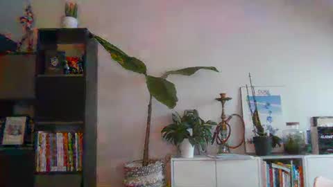 Snapshot of sebix9206 chatting on 13, 2, 2025 sebix9206 online show from 13, 2, 2025