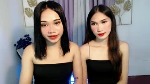 your miss universe kim online show from 25, 11, 2025