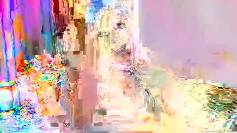 Snapshot of selenashemale chatting on 24, 9, 2025 Selena online show from 24, 9, 2025