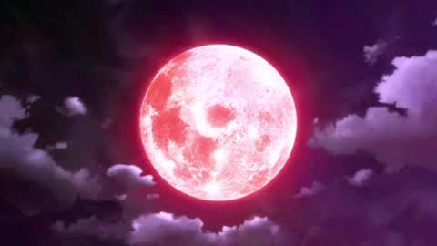 Selene G  online show from 8, 4, 2026