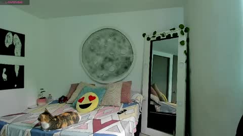 Selyn online show from 6, 4, 2026