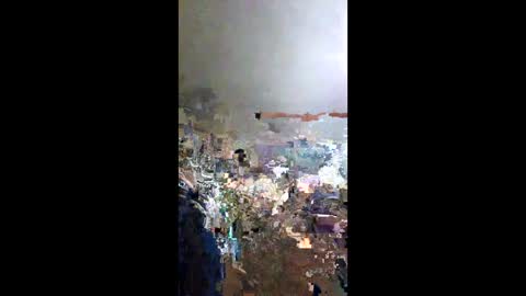 senor49509 online show from 25, 1, 2025