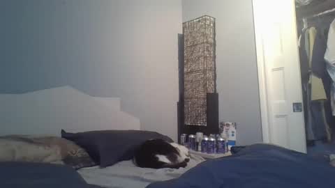 Snapshot of sensualcock4you chatting on 20, 12, 2025 sensualcock4you online show from 20, 12, 2025