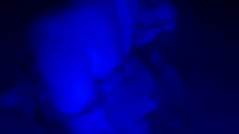 sensualsilhoutte online show from 11, 7, 2026