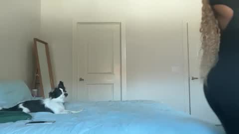 Serenity Bee   online show from 17, 11, 2025