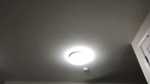 seveninchsteve_ online show from 19, 11, 2025