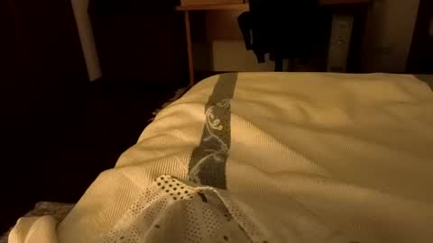 sevenorder online show from 20, 1, 2025